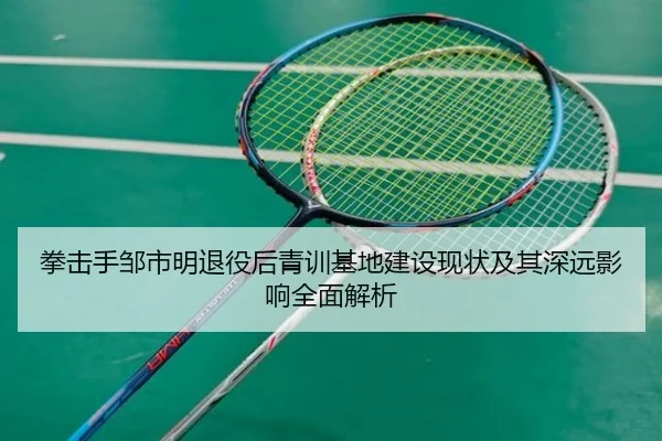 拳击手邹市明退役后青训基地建设现状及其深远影响全面解析
